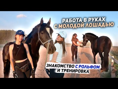 Видео: Конюшня МЕЧТЫ ЛОШАДЕЙ // Тренировка по гимнастике с Рольфом