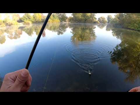 Видео: Успешен риболов на костур + БОНУС в края на видеото