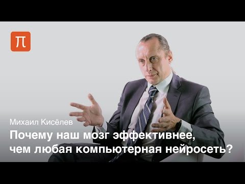 Видео: Киселев - Импульсные нейронные сети