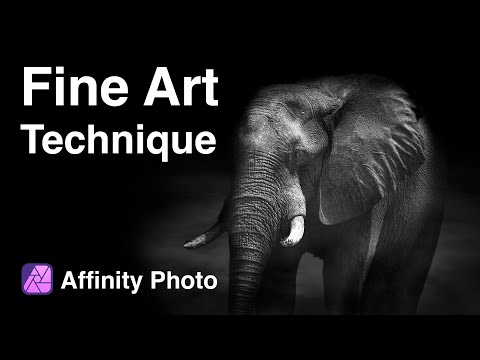 Видео: Редактирование изображений дикой природы в Affinity Photo