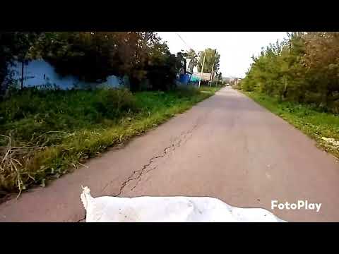 Видео: Осень  🍂 🍁с ветром танцевала .