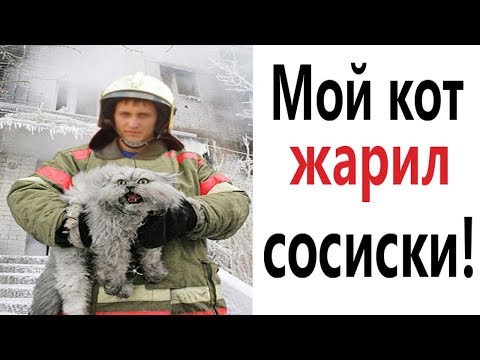 Видео: Лютые приколы. МОЙ КОТ ЖАРИЛ СОСИСКИ!!! Самое смешное видео! Попробуй не засмеяться! - Domi Show
