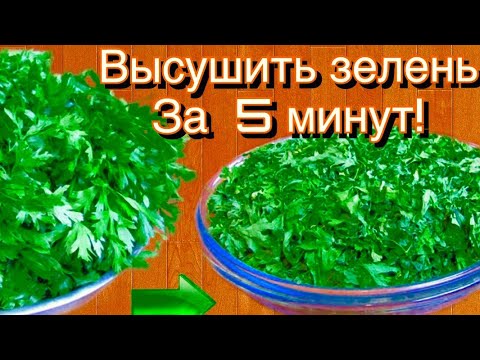 Видео: Как высушить любую зелень за 1-5 минут! . Цвет и аромат сохраняются, а главное очень быстро!