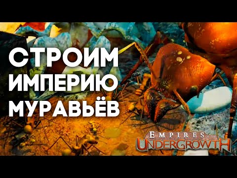Видео: СТРОИМ МУРАВЬИНУЮ ИМПЕРИЮ В Empires of the Undergrowth! Прохождение. Серия #1. \\ Димон и пумба