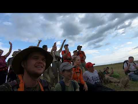 Видео: Очередные 100 км. За 35 часов.