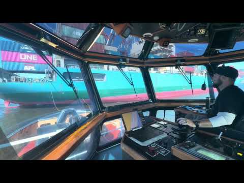 Видео: Отправьте это!!