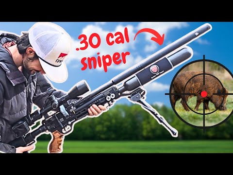 Видео: Бесшумно, но смертельно опасно: охота на диких кабанов с пневматической винтовкой