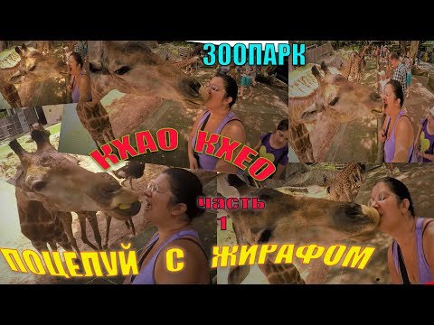 Видео: КХАО КХЕО - 1ЧАСТЬ | КОНТАКТНЫЙ ЗООПАРК | СЕЛФИ С ЖИРАФОМ | ПАТТАЙЯ 2017 | ТАЙЛАНД