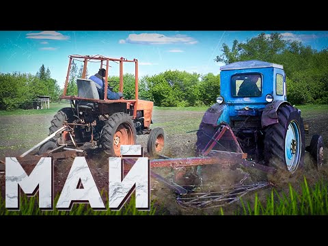 Видео: МАЙСКИЕ /ТРАКТОРА,ШАШЛЫК,КВАДРОЦИКЛ /Влог из деревни