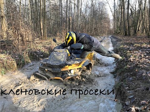 Видео: STELS GUEPARD 850.  Кленовские Просеки.