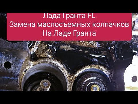Видео: Лада ГрантаFl Замена маслосъемных колпачков на Гранте Как заменить маслосъемные колпачки на ГрантеFL
