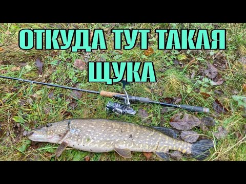 Видео: ЛОВЛЯ ЩУКИ ОСЕНЬЮ НА МАЛОЙ РЕКЕ. ЩУКА НА СПИННИНГ. РЫБАЛКА НА СПИННИНГ.