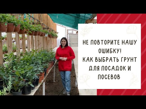 Видео: ЭТО ВАЖНО! ГДЕ ВЗЯТЬ ЛУЧШИЙ ГРУНТ ДЛЯ ПОСЕВОВ И ПОСАДКИ