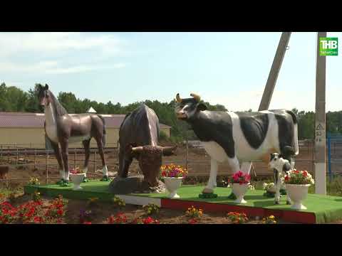 Видео: Туган җир 21/07/23