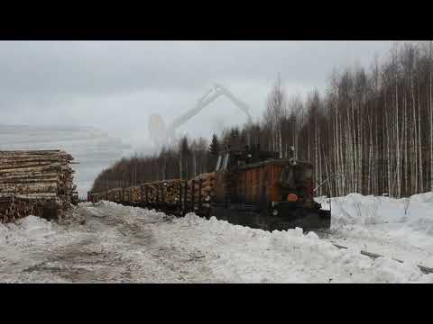 Видео: Лойгинская УЖД / Тепловоз ТУ6А-2892 на погрузке