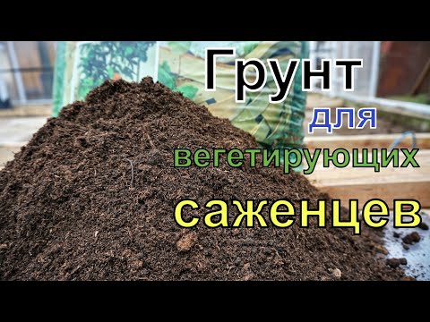 Видео: Виноград .Почва грунт для  вегетирующих саженцев  винограда.