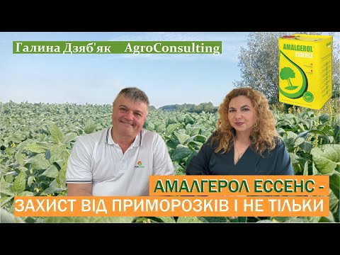 Видео: ІГОР ЛУШПАНОВ-технічний експерт «САММІТ-АГРО-ЮКРЕЙН»: АМАЛГЕРОЛ ЕССЕНС- біостимулянт та антистресант