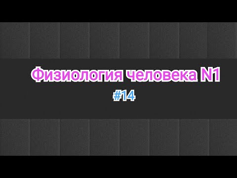 Видео: Симпатическая, парасимпатическая и соматическая н/с.