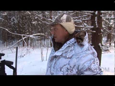 Видео: Охота с флажками на волка