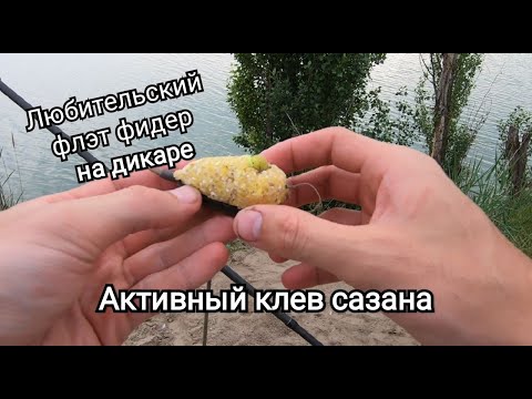 Видео: АКТИВНЫЙ КЛЕВ НА СЫРДАРЬЕ//РЫБАЛКА НА САЗАНА, КАРАСЯ