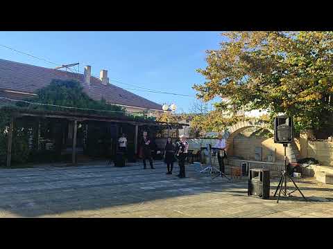 Видео: Тудоро, Тудоро - Василен Димитрова