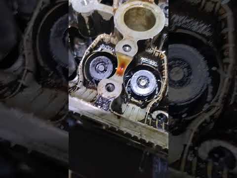 Видео: Эээ, брат! Сделаю, как брату! По ,,братски,, сделаю... Брат!