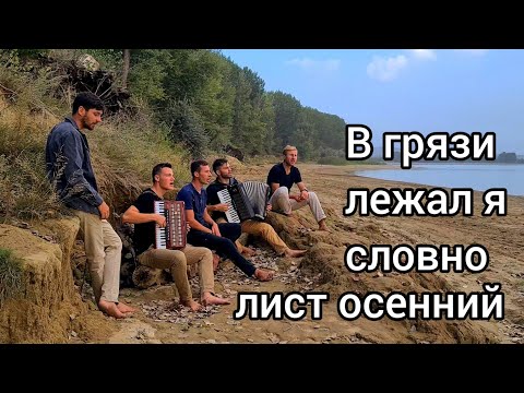 Видео: В грязи лежал я словно лист осенний. Братья из Михайловки.