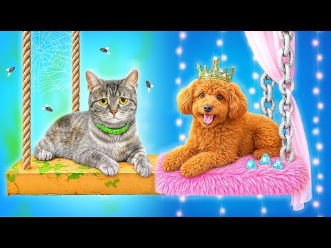 Видео: Строим Секретные Домики для Животных | Богатая Собака vs Бедная Кошка c Multi DO Smile