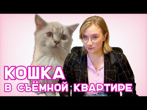 Видео: Домашнее животное в съёмной квартире. Как уговорить хозяина