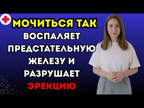 Видео: Уролог объясняет: такое мочеиспускание вредит простате