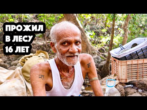 Видео: Люди живущие в лесу Индии. Джунгли Гоа