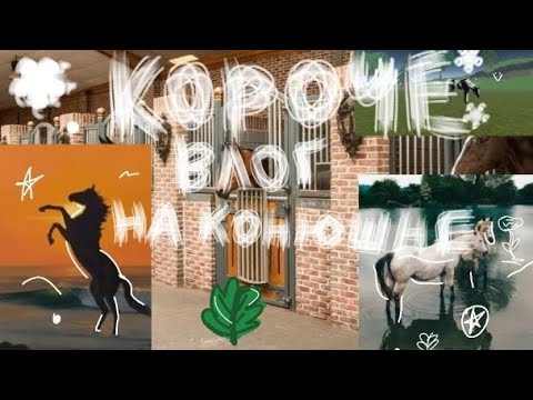 Видео: 🦈∆×день на конюшне∆×🐊 •работа 2 лошадей