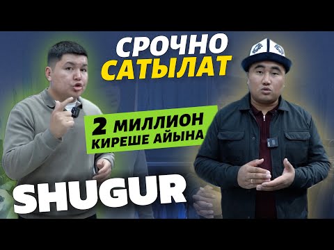 Видео: Бизнести өткөрүп берем ⚠️ коркпой алып иштетсеңиз БОЛОТ 🔴 болгонун болгондой көргөзүп берди