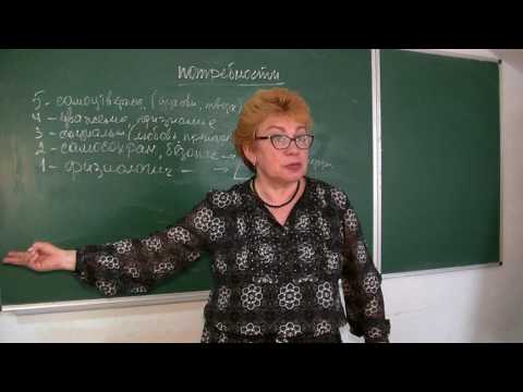 Видео: Психология развития личности, мотиваторы, потребности, "тормоза" и "грабли". Лекция № 44.