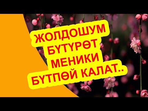 Видео: ЖОЛДОШУМ БҮТҮРӨТ МЕНИКИ БҮТПӨЙ КАЛАТ // Жүрөк сырлары