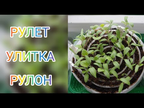 Видео: Экономим площадь для выращивания рассады