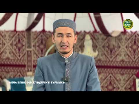 Видео: Алла Елшісінің күнделікті тұрмысы