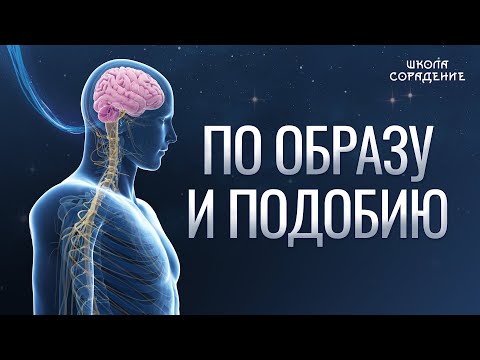 Видео: По образу и подобию #Ануннаки #ПроводВголову #Гарат #ШколаСорадение