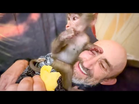 Видео: ВЕСЕЛО! Люська с такой радостью СТАЩИЛА у Влада и ЛОПАЕТ сушеное манго из пакета!