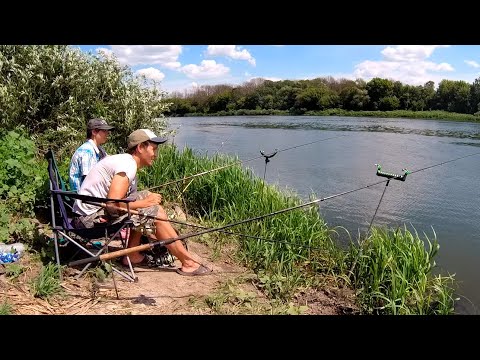 Видео: Ночевка на реке Дон! Удачная рыбалка в Воронежской области! Ловля карася на фидер!