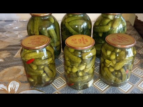 Видео: БОДРИНГ ТУЗЛАШ.🥒🥒🥒 СЕКРЕТ хрустящие огурцы на зиму.