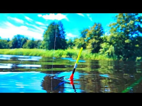 Видео: РЫБАЛКА на ПОПЛАВОК!!!  БЕШЕНЫЙ КЛЁВ а ПОТОМ ЛОДКА ПО ШВУ!!!