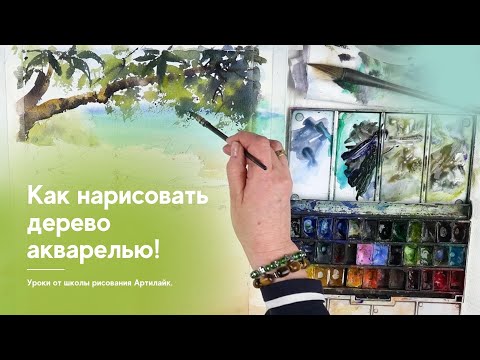 Видео: Как нарисовать дерево поэтапно | Учимся рисовать деревья акварелью | Рисуем дерево акварелью