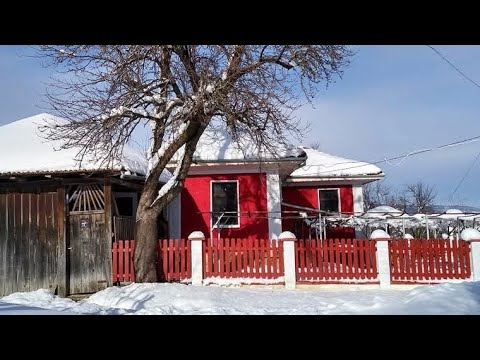 Видео: Един уютен, зимен ден на село