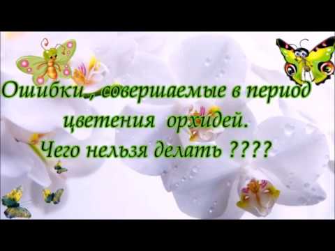 Видео: Наши ошибки  в период цветения орхидей. Чего нельзя и что можно делать?