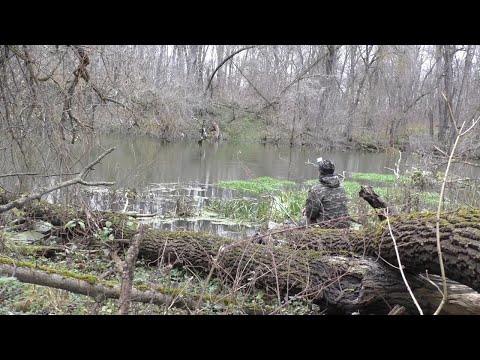 Видео: ОСЕННЯЯ РЫБАЛКА НА ПОПЛАВОК В НОЯБРЕ НА РЕКЕ.