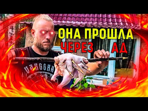 Видео: WARDHEIM - КУРИЦА ПО АДСКИ | ДРОВЕННИК | ФИНАЛ ЛЕТНЕГО СЕЗОНА #24