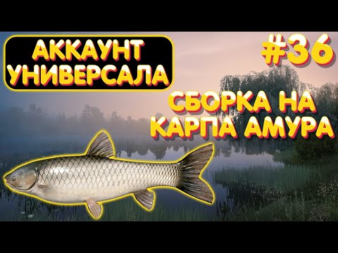 Видео: Аккаунт универсала #36 | Сборка на Карпа Амура | Впервые ловим на оз. Медвежье | Русская Рыбалка 4