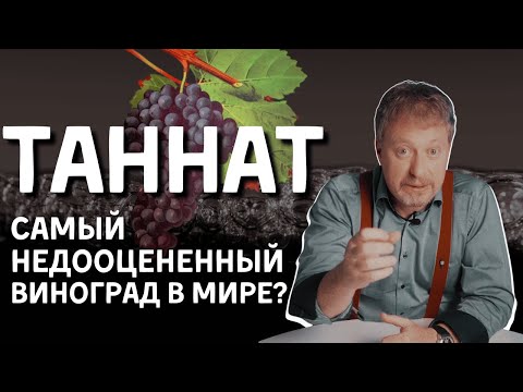Видео: [ТАННАТ] - самый недооцененный виноград в мире?