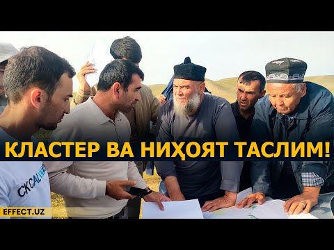 Видео: ҚЎЛГА ТУШМАС ҚАСОСКОРЛАР: ДЕНОВДА КЛАСТЕР АДОЛАТ ВА ҚОНУНГА ТАСЛИМ БЎЛДИ... – EFFECT.UZ